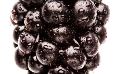 The joy of foraging